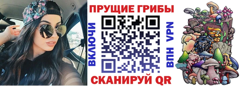 Галлюциногенные грибы мицелий  Спас-Деменск 